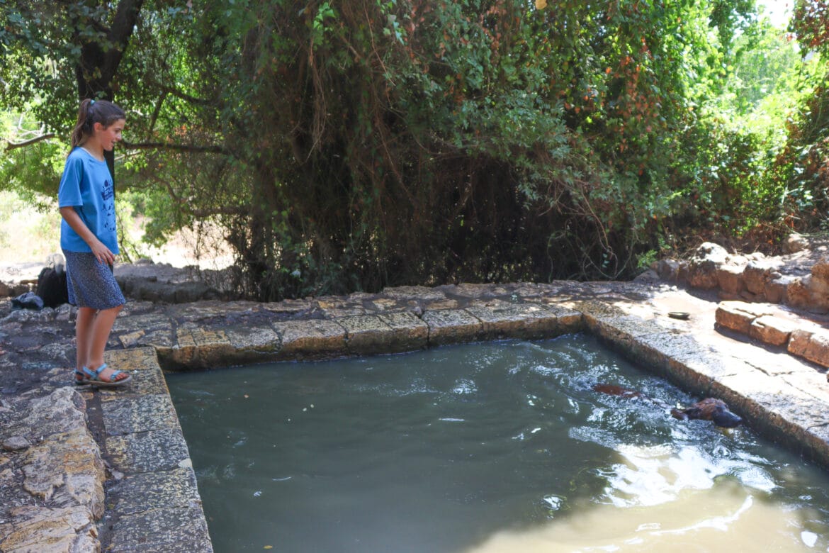 Mount Tayasim to Tayasim Spring