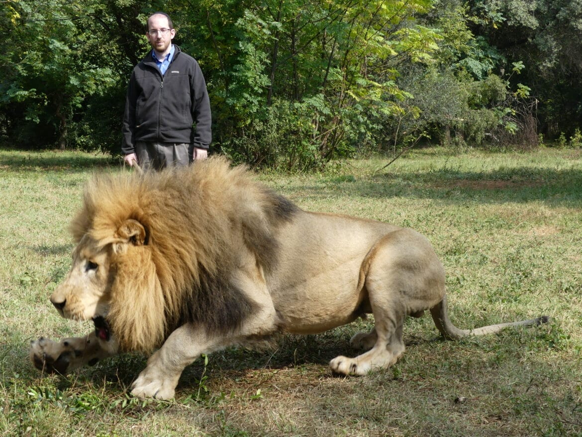 Could You Meet Dangerous Animals While Hiking???