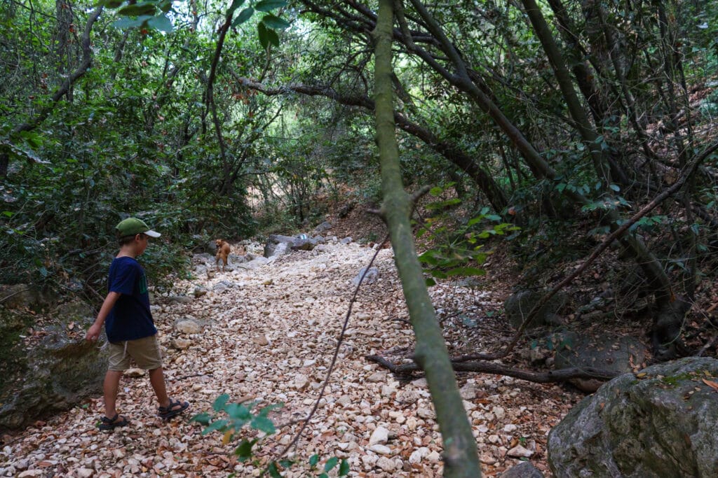 Nahal Yehiam hike