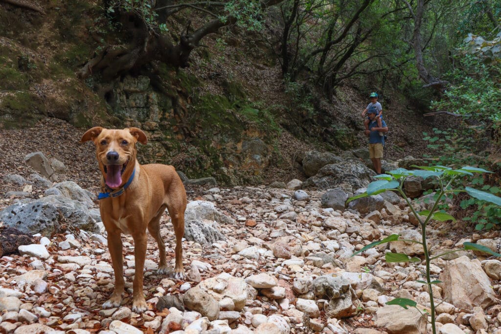 Nahal Yehiam hike