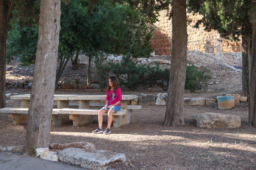 Yehiam Fortress National Park