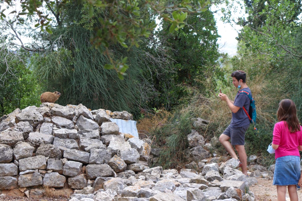 Yehiam Fortress National Park