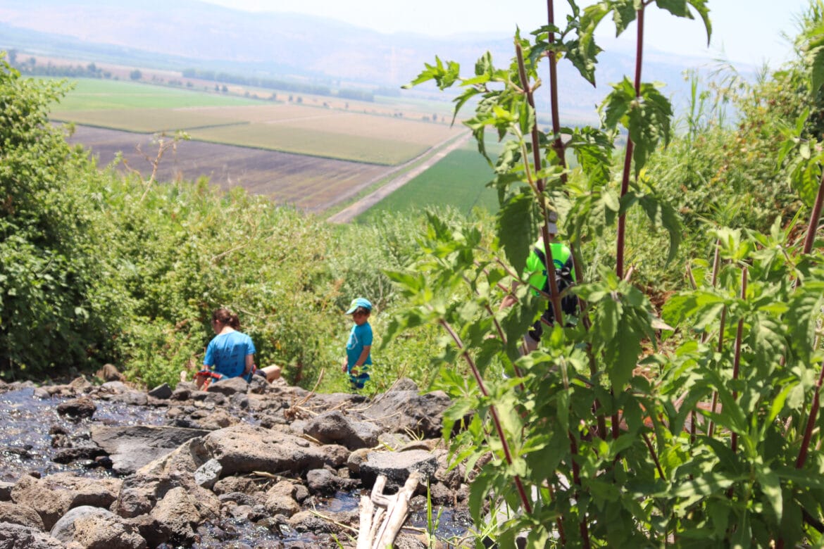 Ein Divsha Water Trail