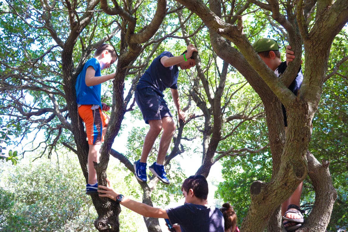 Mount Kitron – Tzur Hadassa