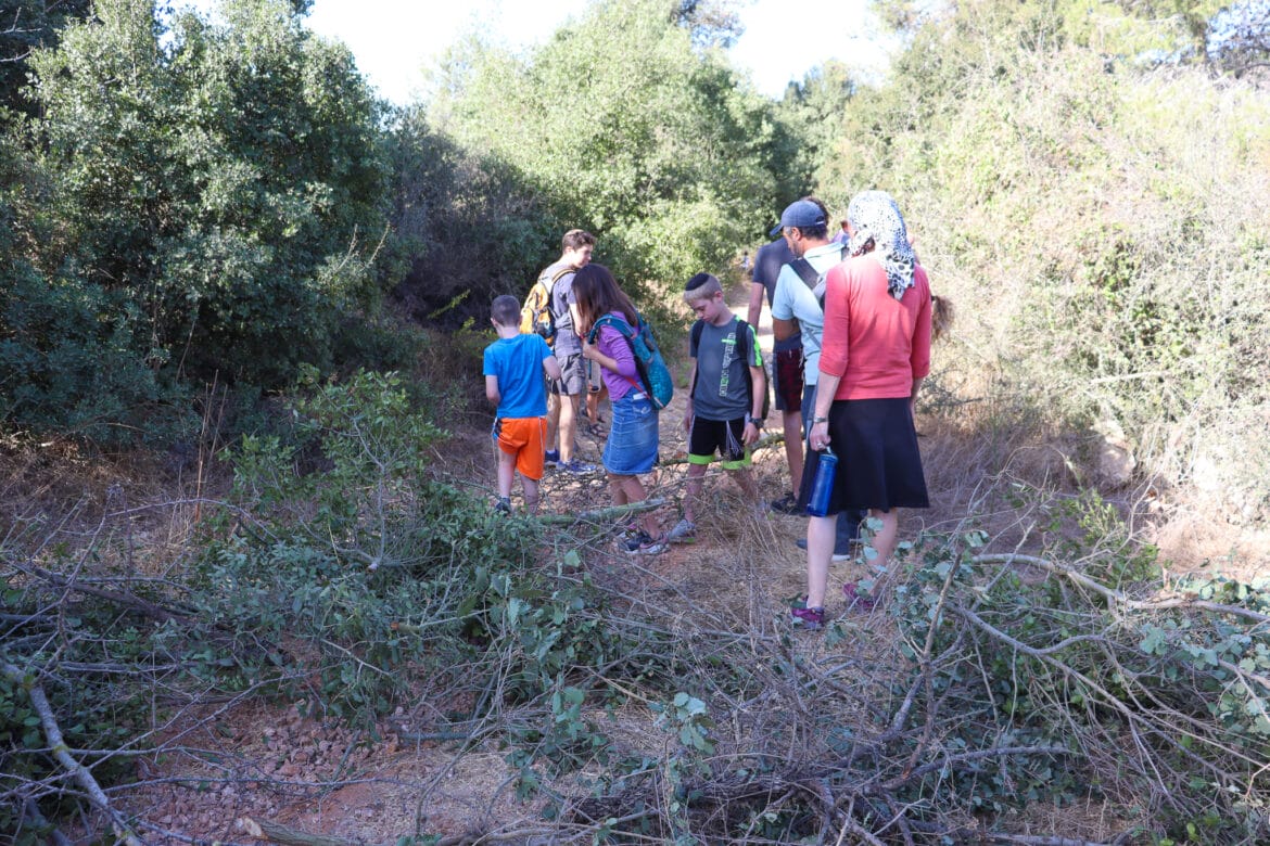 Mount Kitron - Tzur Hadassa - Hiking the Holyland