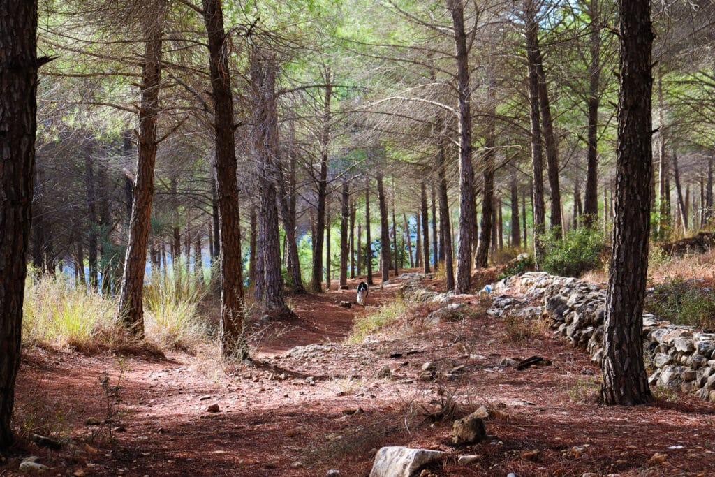 Israel hiking