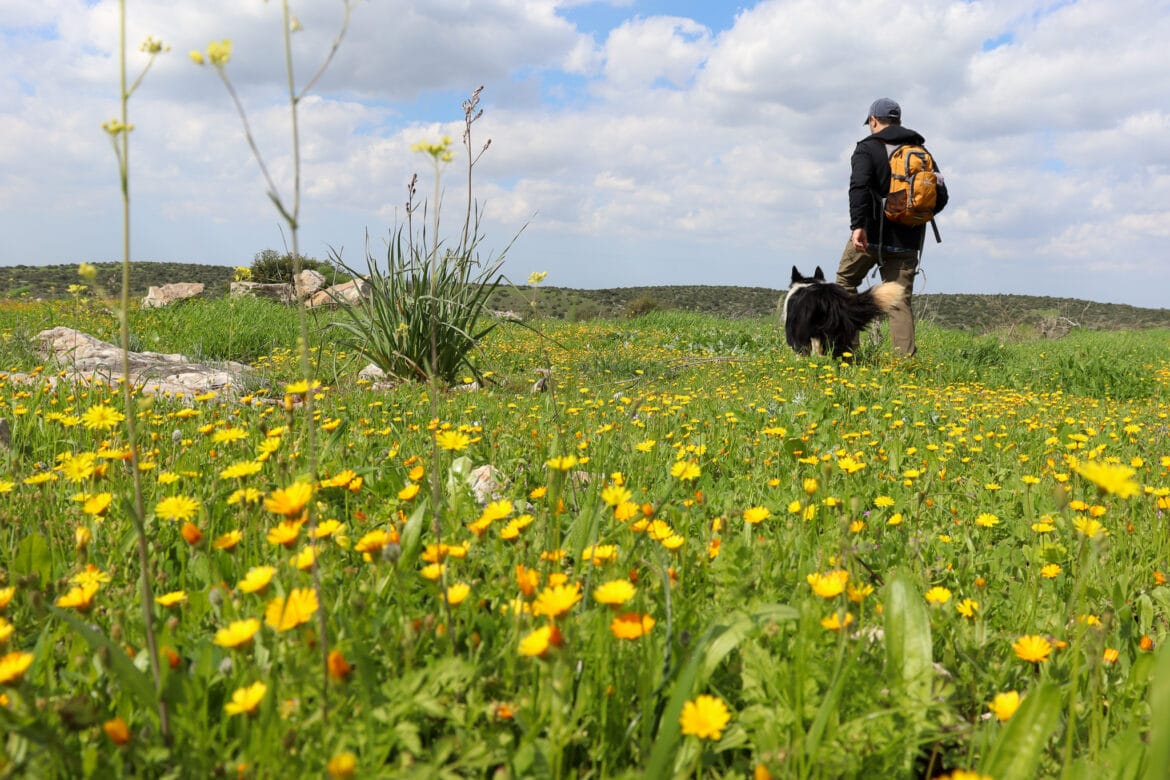 Israel Hiking: 4 Insider Tips to Plan the Adventure of a Lifetime