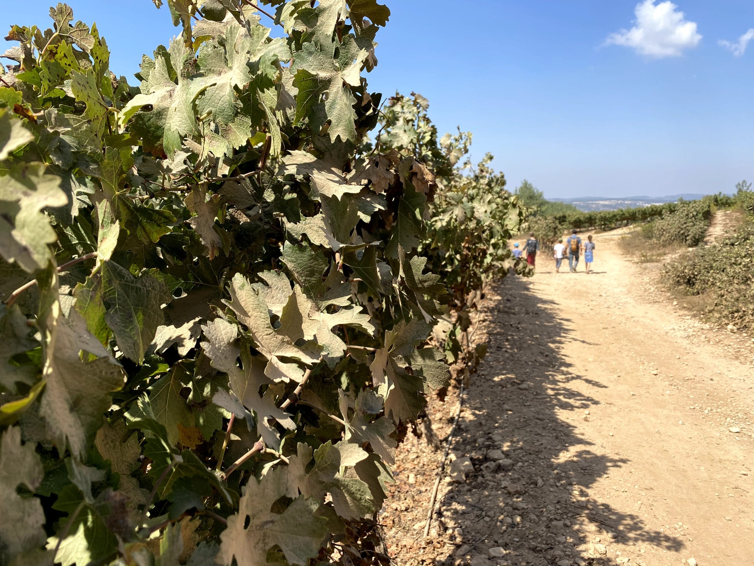 Gush etzion trails.