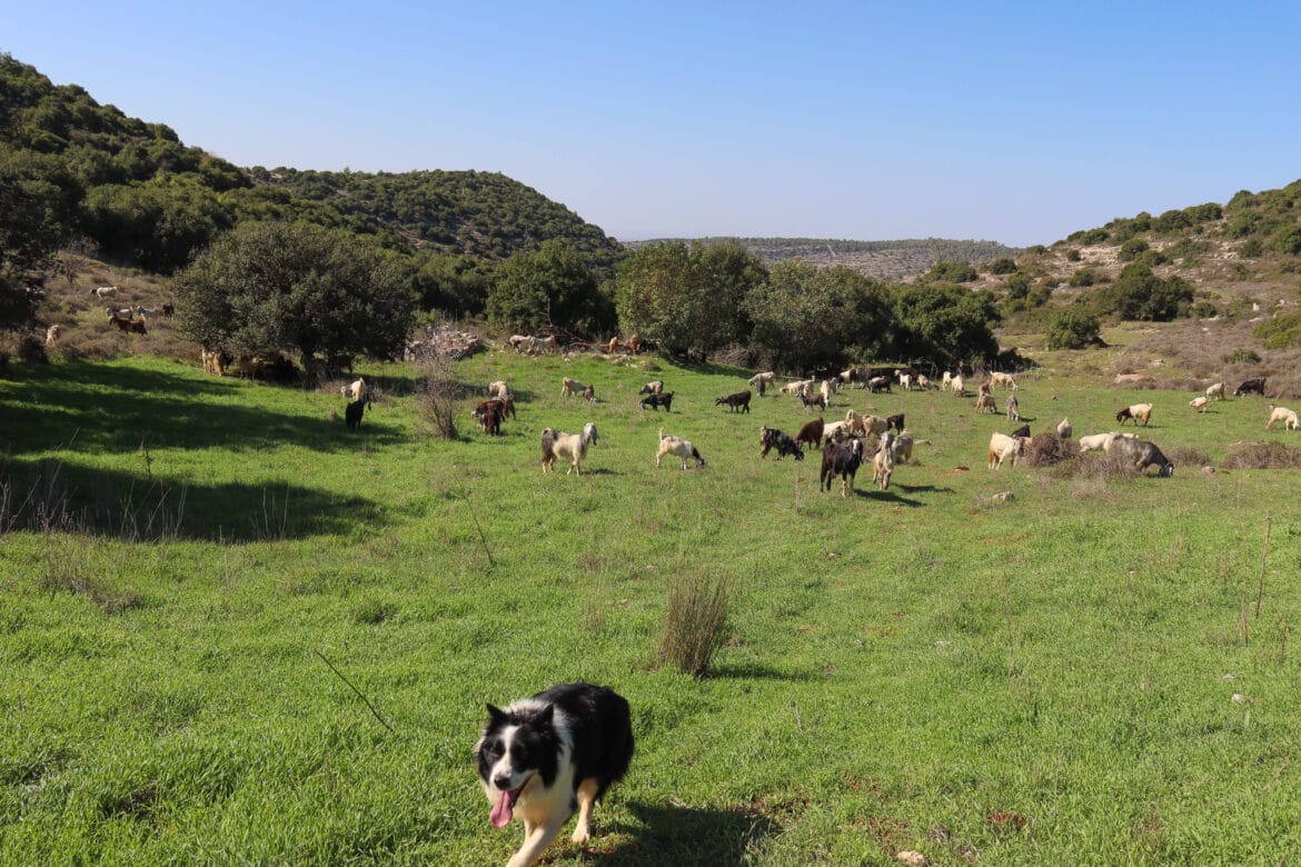 Sansan Ridge Trail to Sansan Ruins