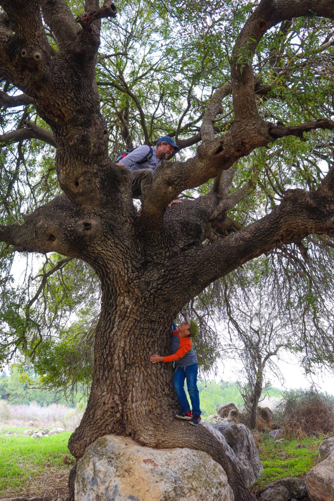 Tel Adulam hike