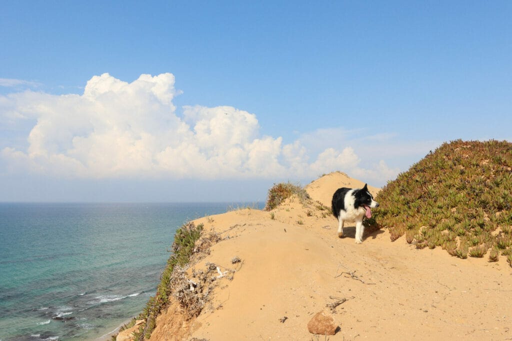 Ga'ash Beach Coastal Trail