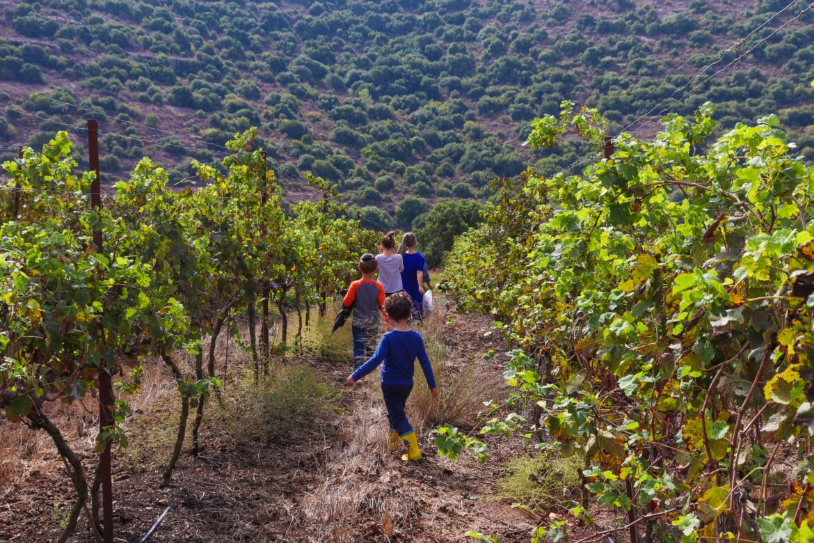 Top 10 Family Hikes for Hanukkah 2020