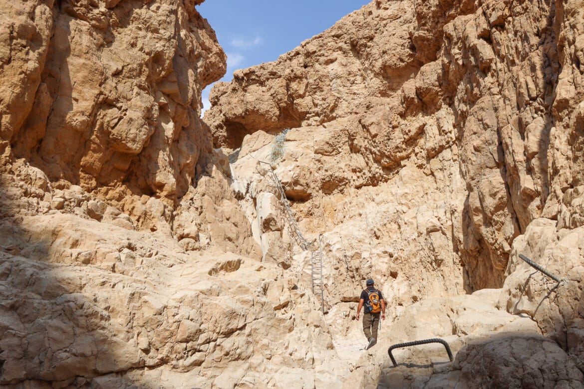 Nahal Tamar and Nahal Tzafit Desert Canyons