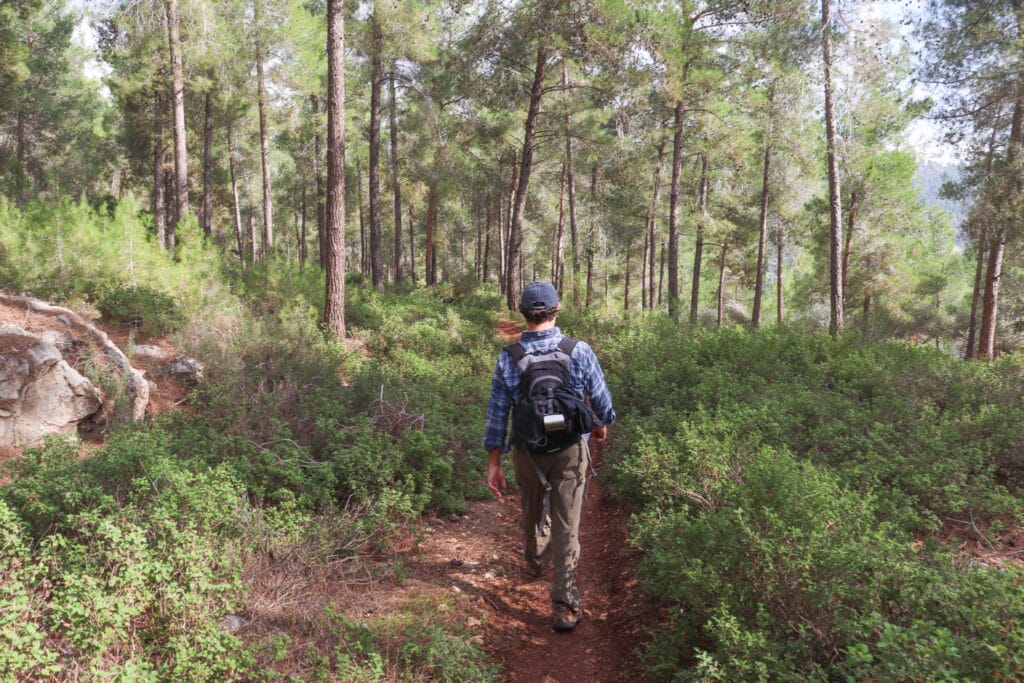 Mount Shalmon hike