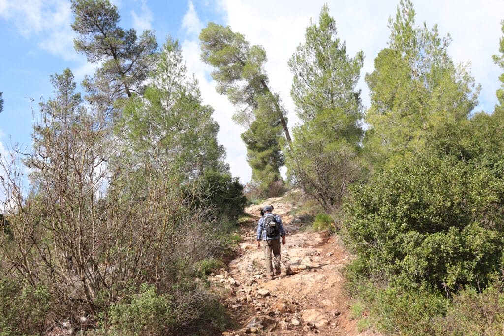 Mount Shalmon hike