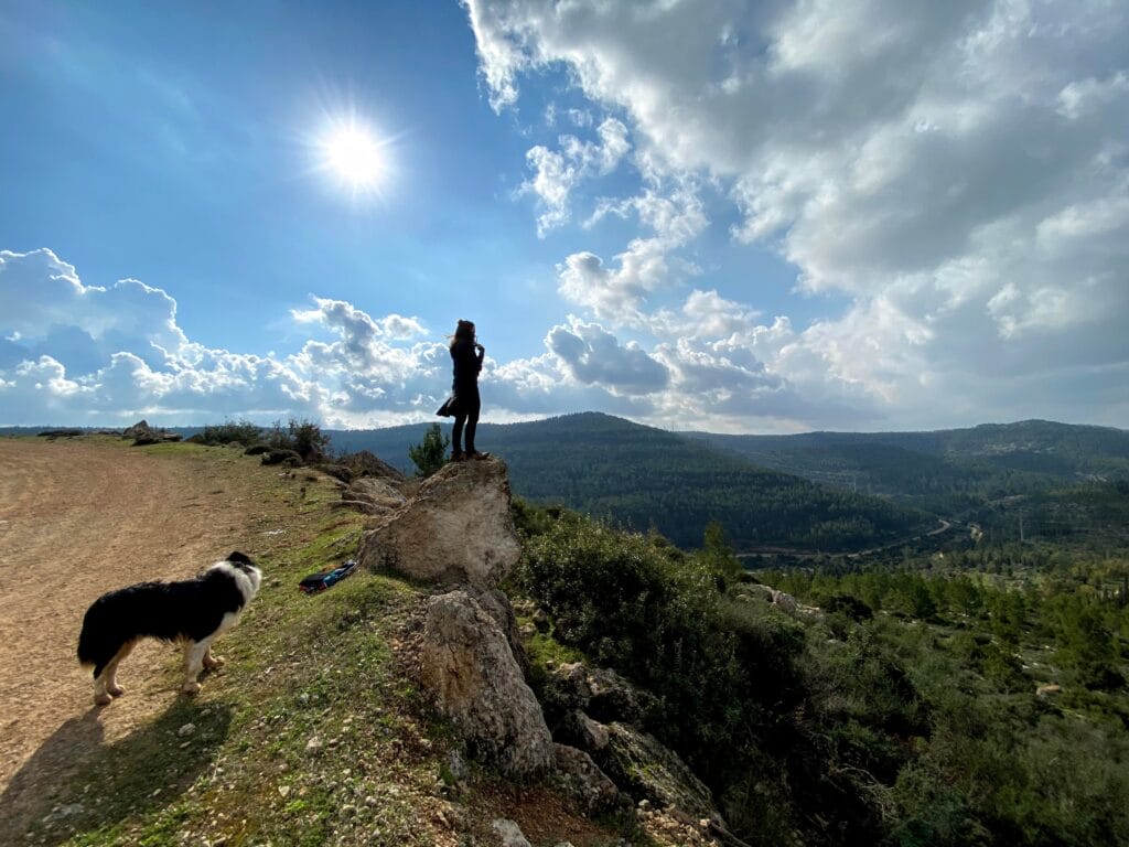 Mount Shalmon hike