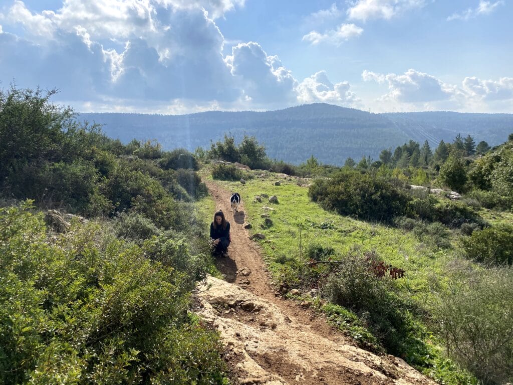 Mount Shalmon hike