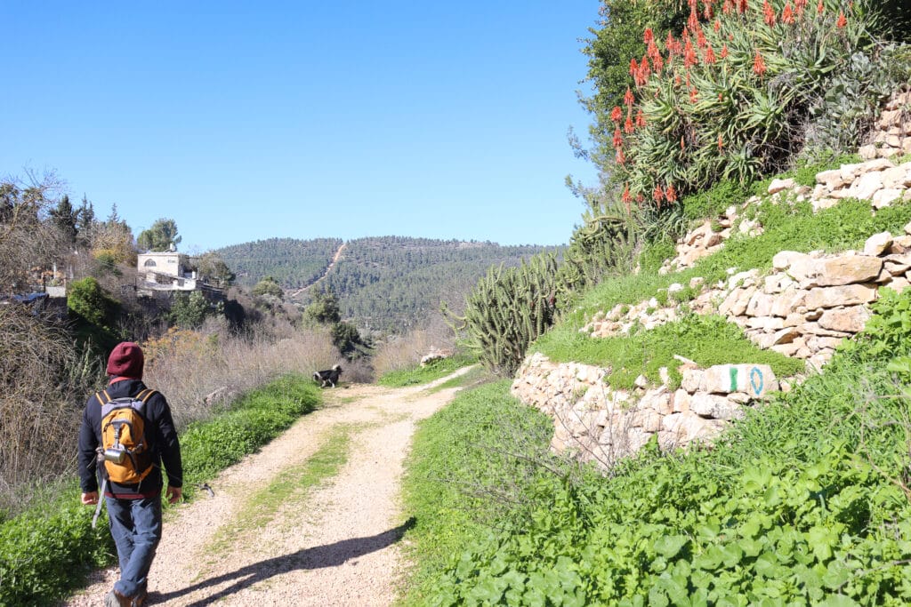 Beit Zayit Dam