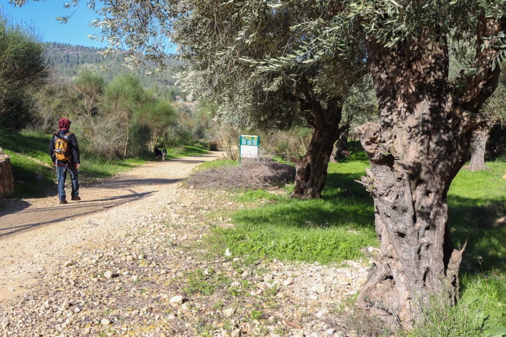 Beit Zayit Dam