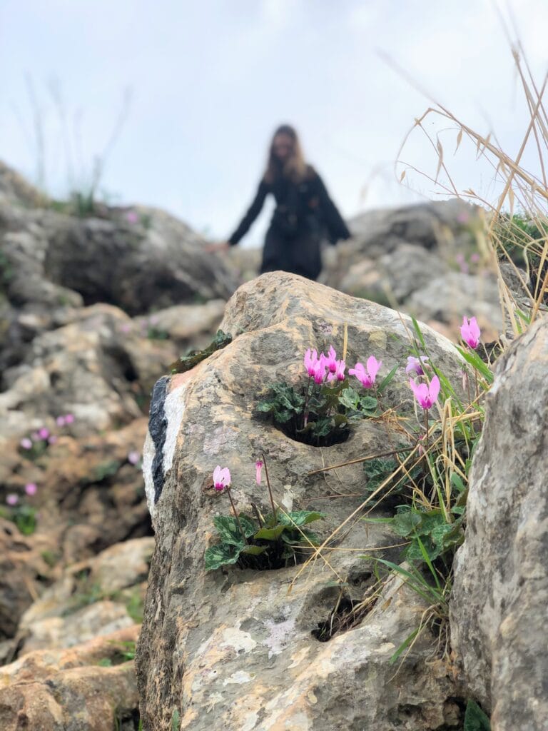 Gilboa mountain hike.