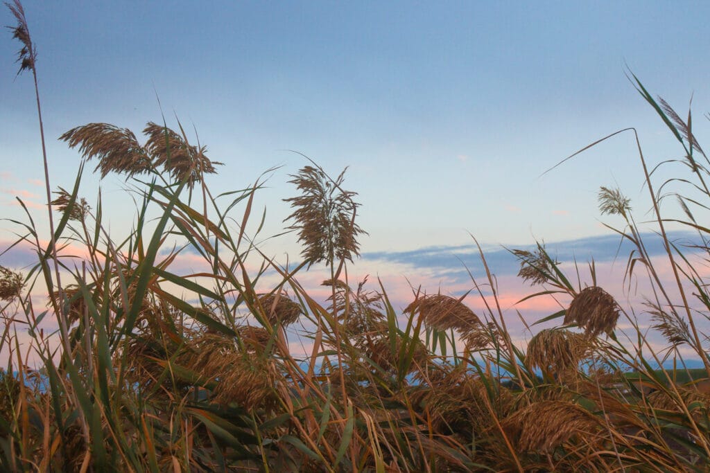 Gilboa mountain hike.