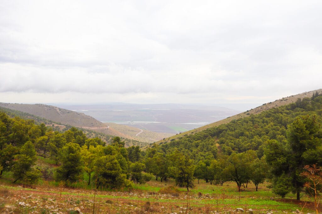 Gilboa mountain hike.