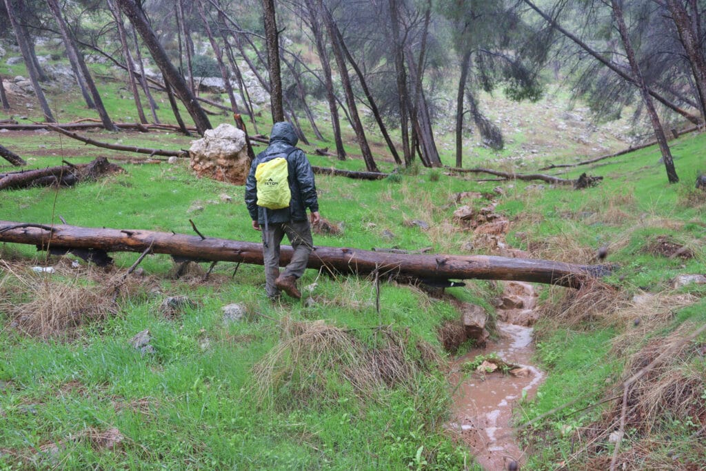 Gilboa mountain hike.