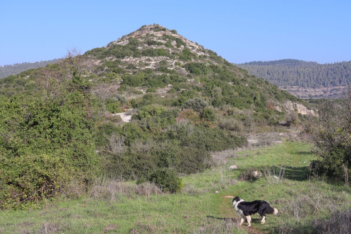 Green Valleys and a Hasmonean Fortress: Hurvat Toura