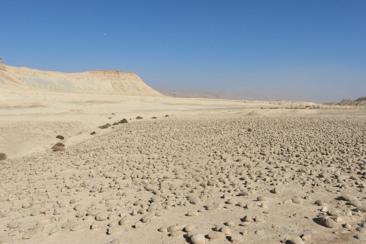 Mount Zin and the Potato Field