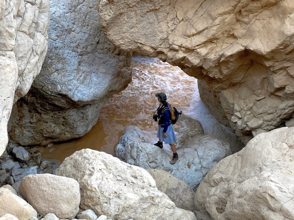 Nahal Tze'elim hike.