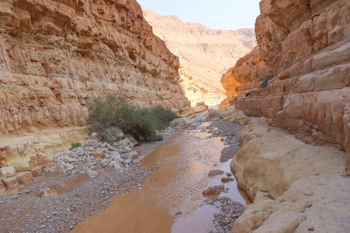 Nahal Tze’elim Desert Adventure