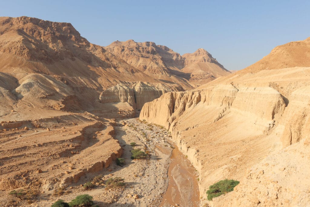 Nahal Tze'elim hike.