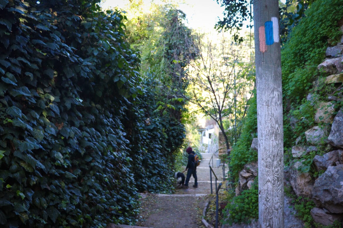 Loop Trail to the Beit Zayit Dam