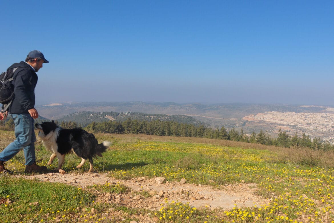 Rosh Tzurim Loop Trail