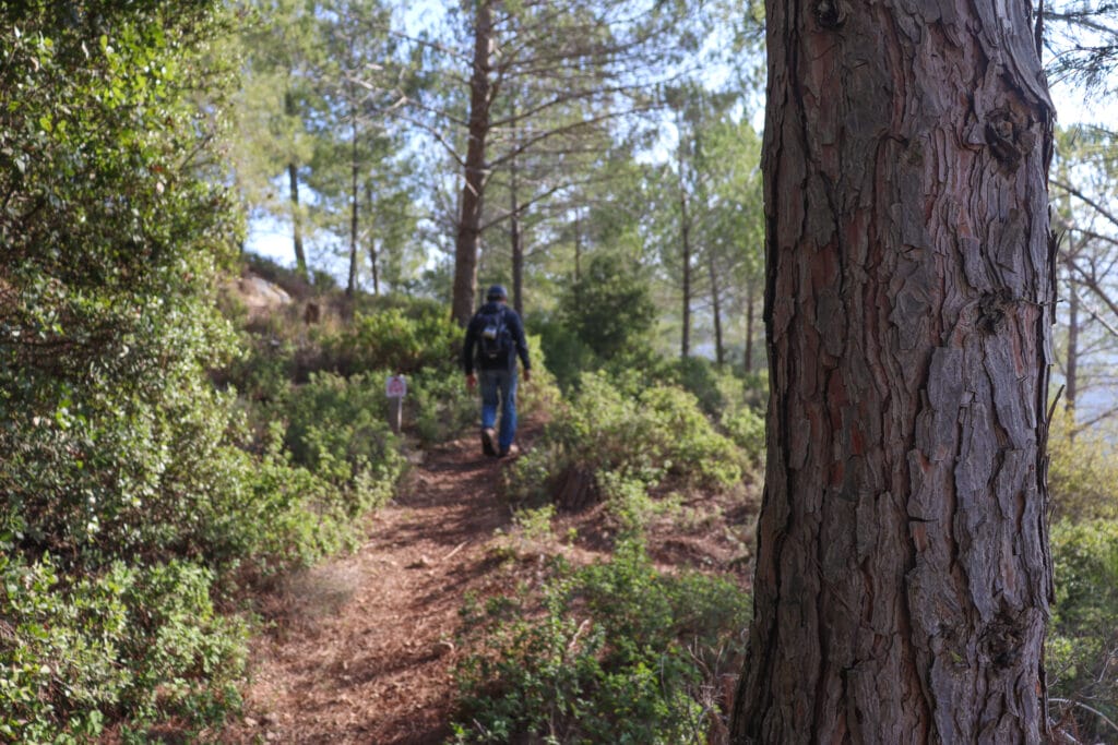 Rosh Tzurim Gush Etzion Hike