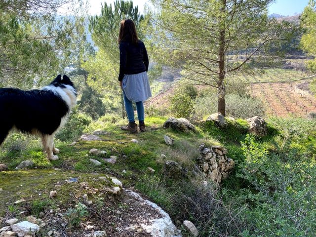 Rosh Tzurim Gush Etzion Hike