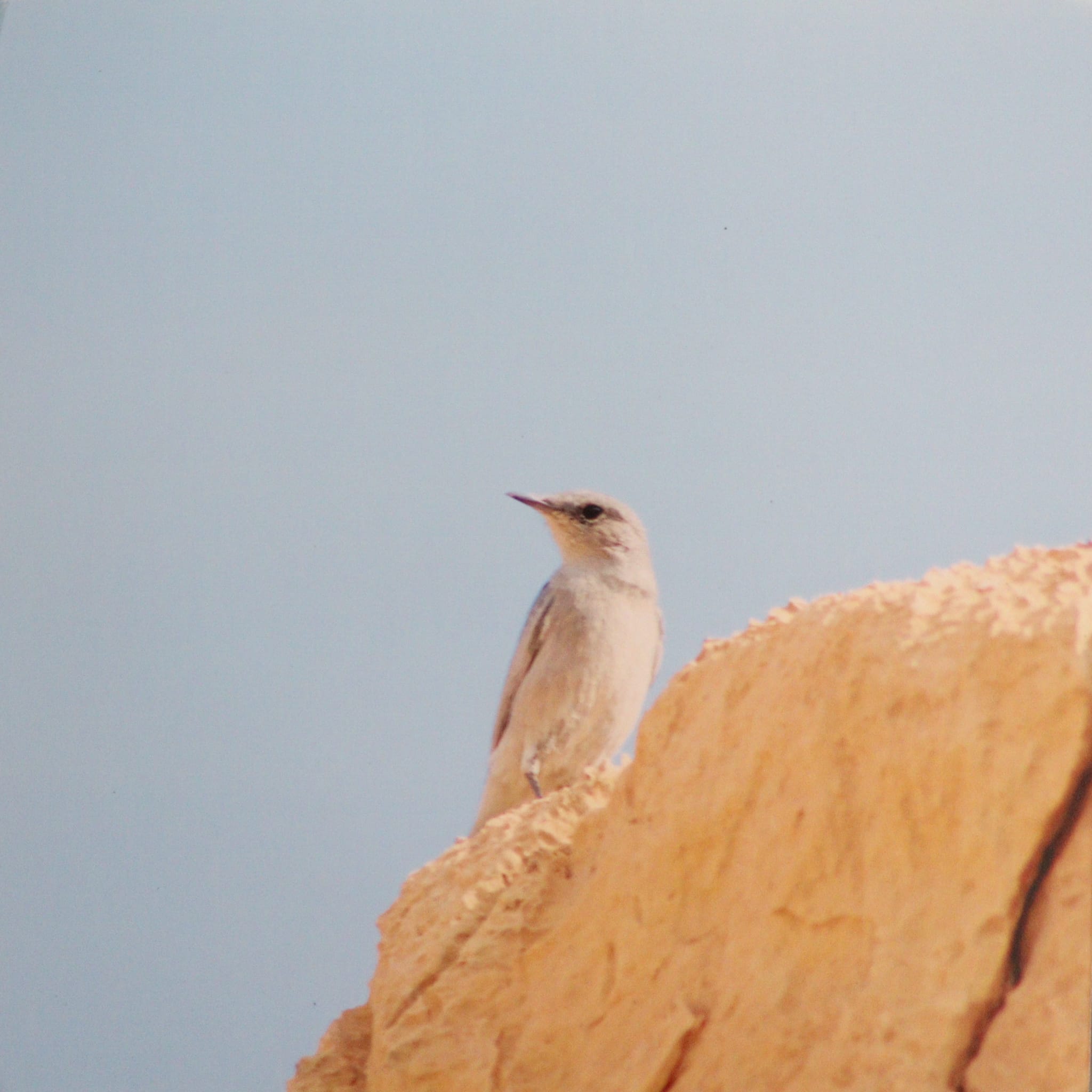 Gallery: Israel's Desert - Image 7