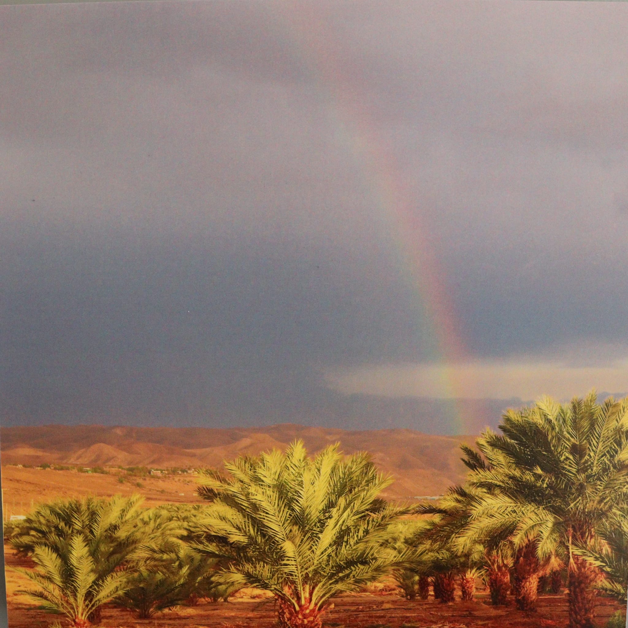 Gallery: Israel's Desert - Image 6