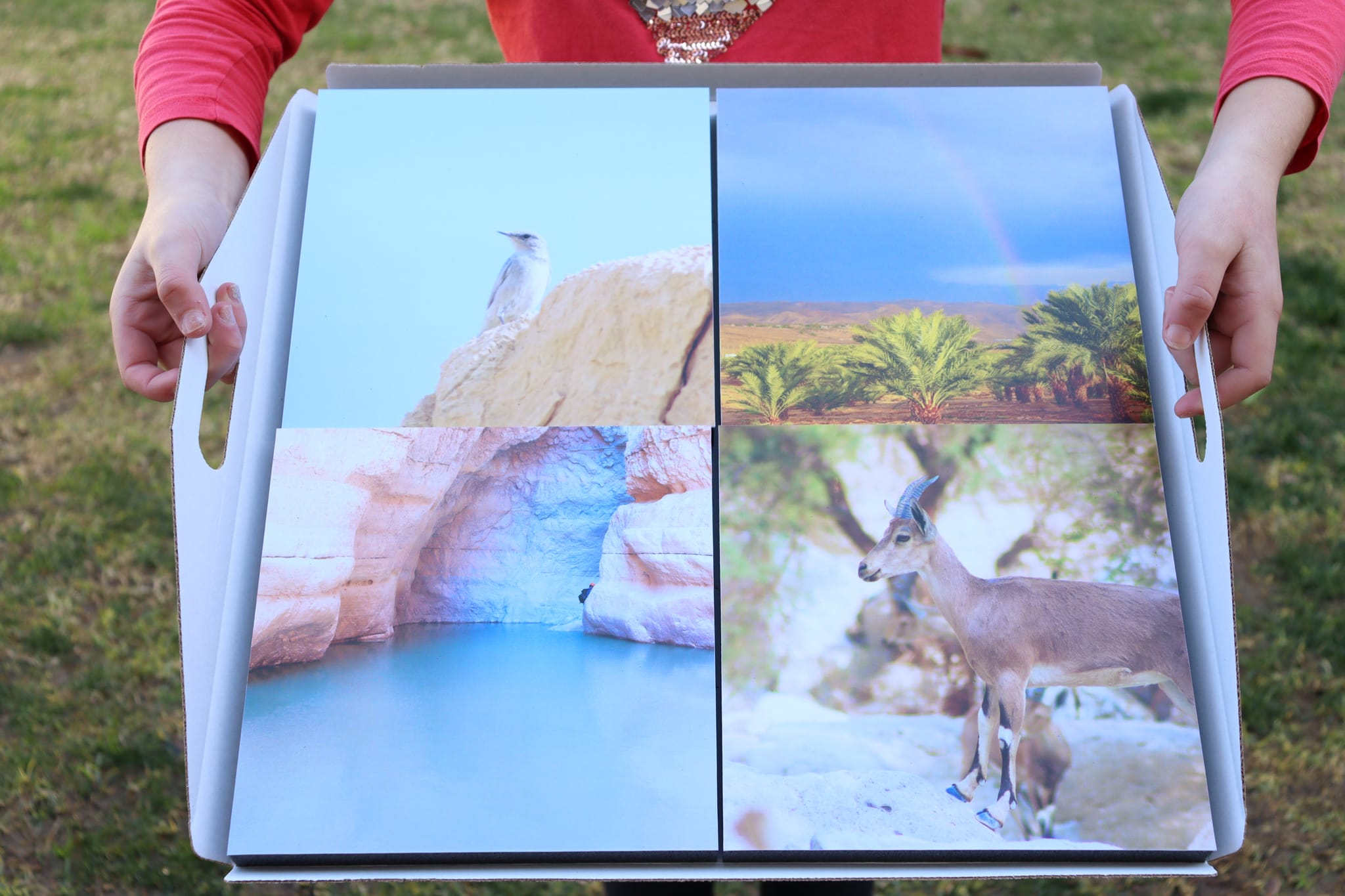 Gallery: Israel's Desert - Image 3