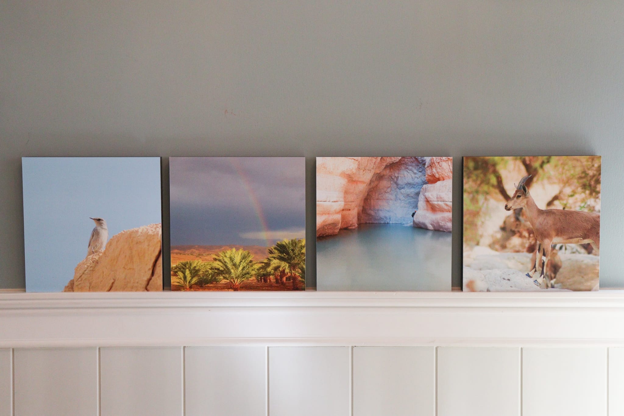 Gallery: Israel's Desert - Image 2