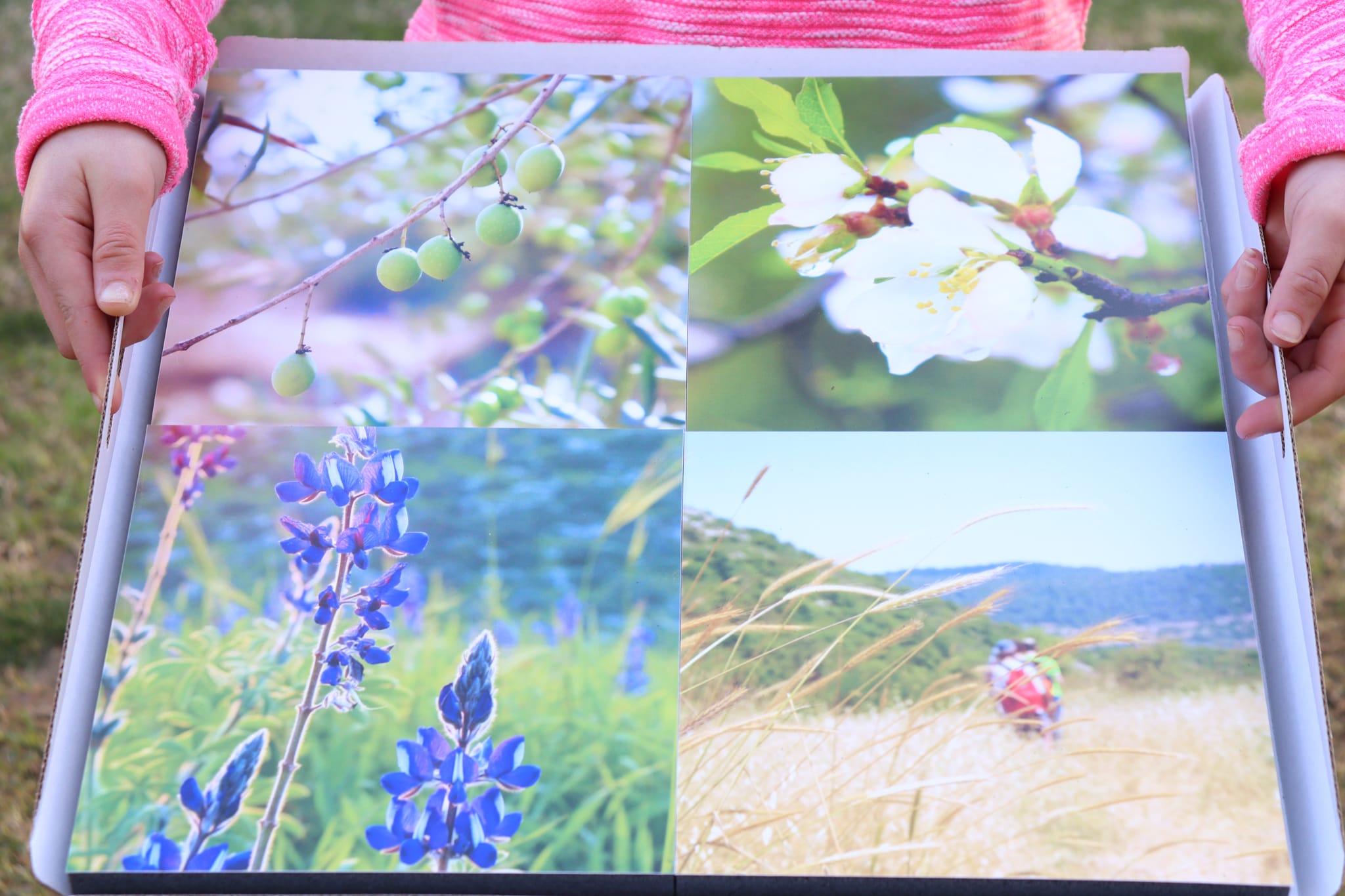 Gallery: Israel's Seasons - Image 4