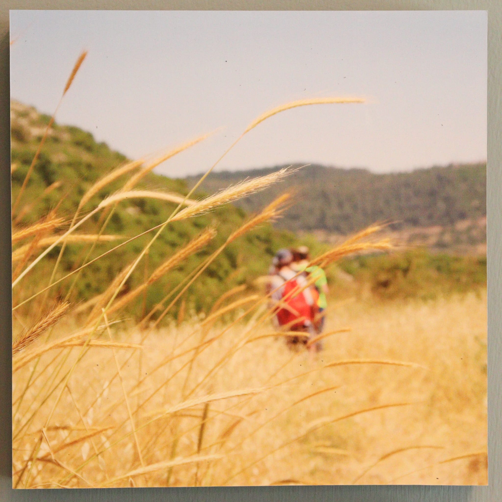 Gallery: Israel's Seasons - Image 5