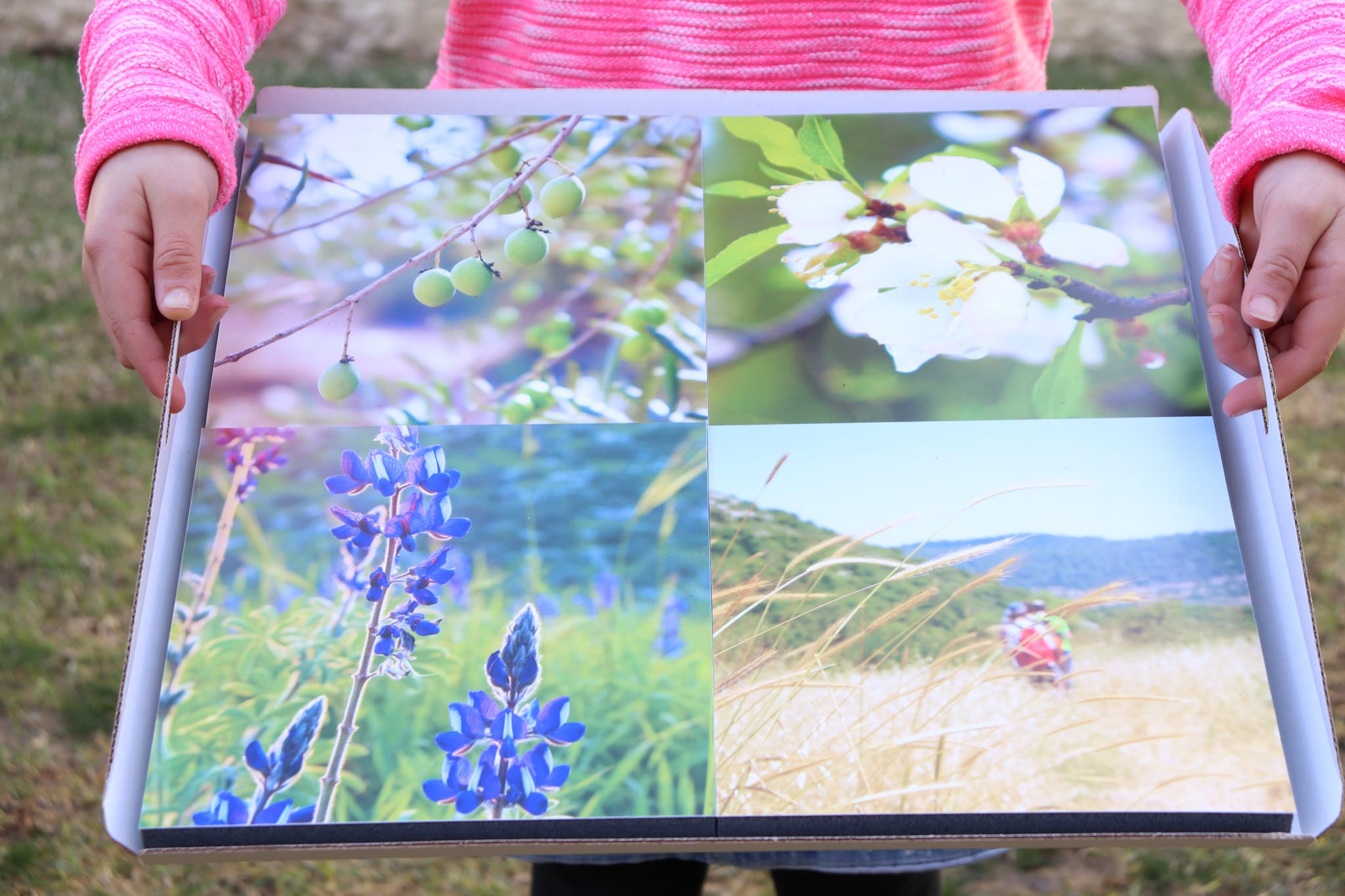 Gallery: Israel's Seasons - Image 2