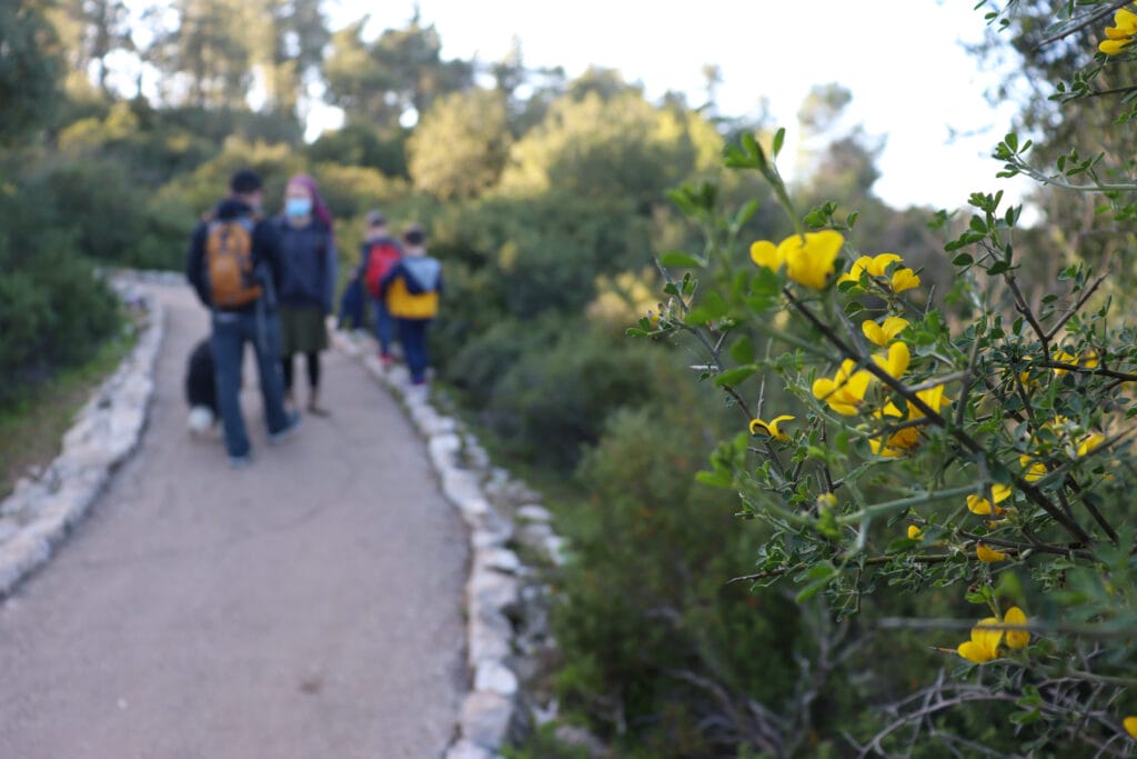 Sorek Lookout Path