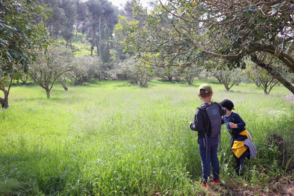 Shaharia Forest