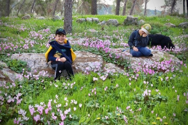 winter in ISrael
