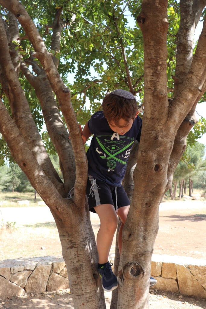 Shoham Forest hike