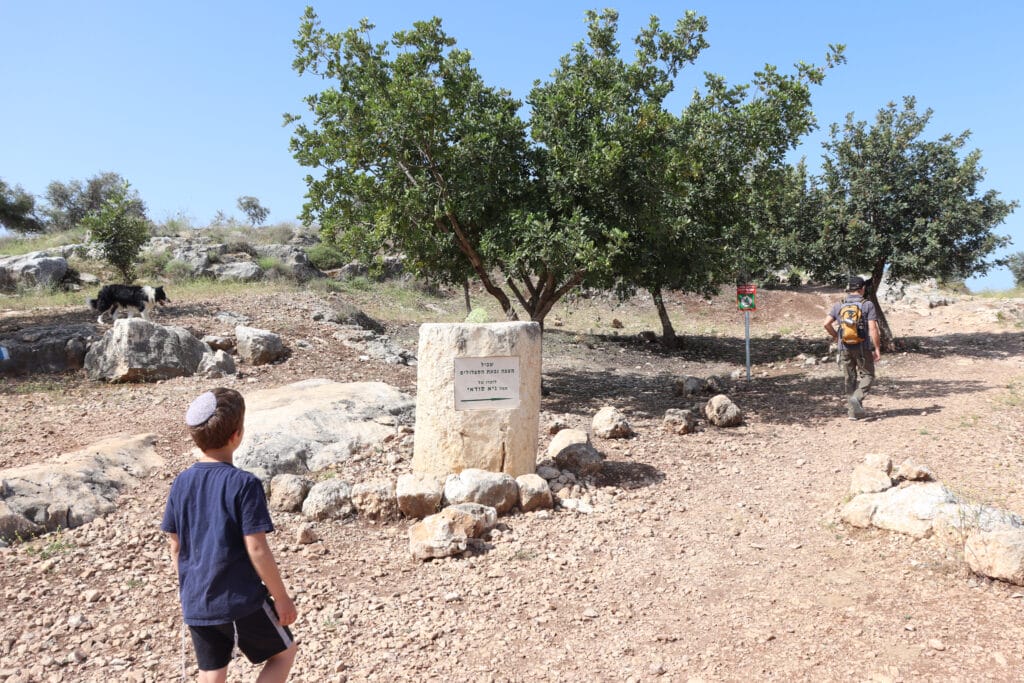 Shoham Forest hike