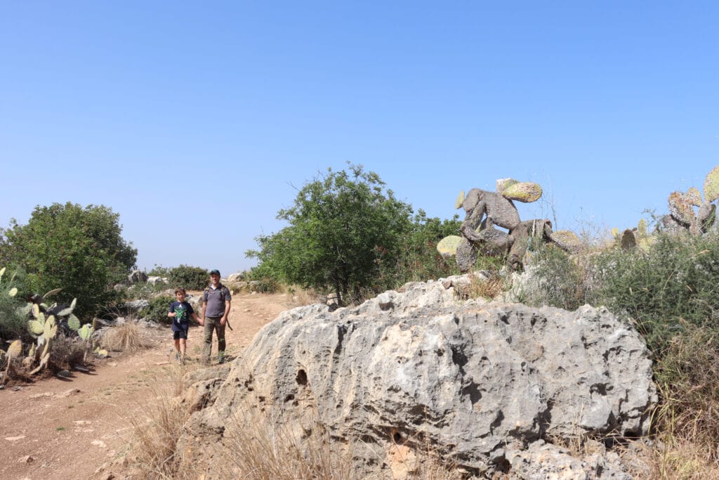 Shoham Forest hike