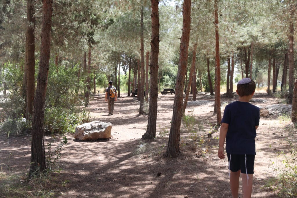 Shoham Forest hike